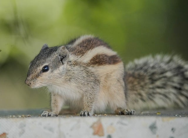 在成都市区的单招学校