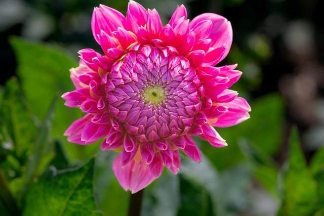 成都单招信息思维导图