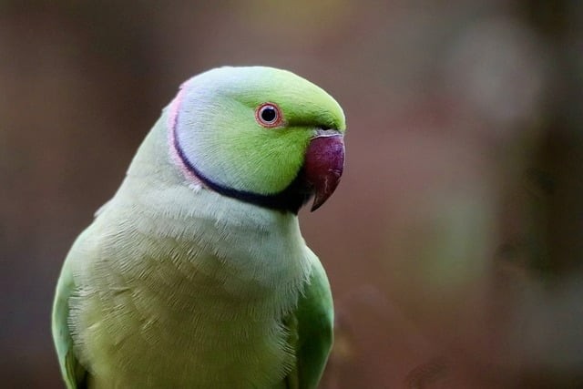 四川成都竞元单招费用