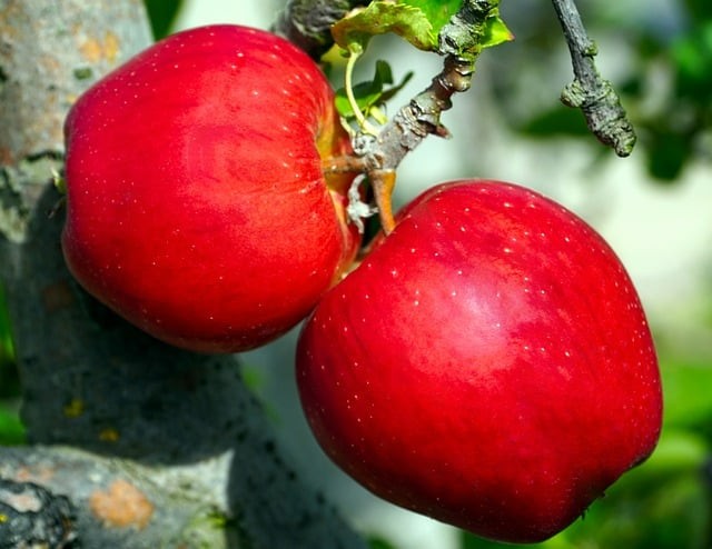 英语单招题四川