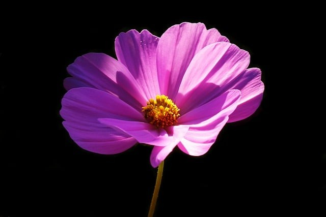 单招成都可以报哪些专业 单招成都可以报哪些专业