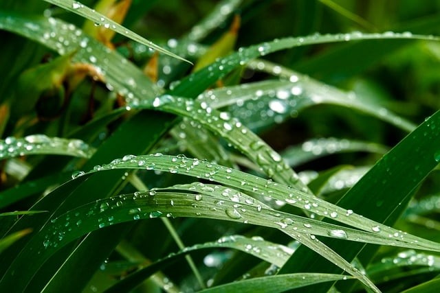 自贡市旅游职业高级中学2025年春季招生简章