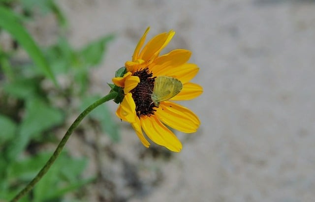 四川单招线下培训