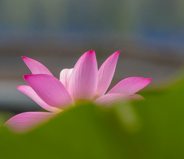 四川省高职单招学校，四川省高职单招学校代码