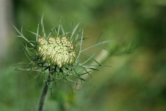 成都单招机构培训学校，成都单招机构培训学校有哪些
