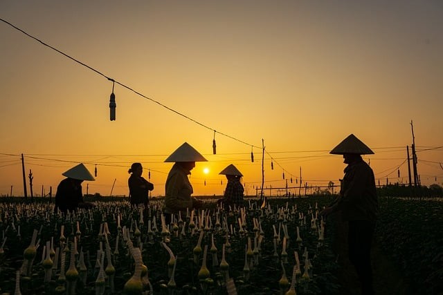 成都卓慧单招培训