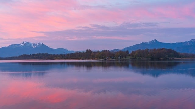 成都单招培训机构最新状态，成都单招培训机构排名榜