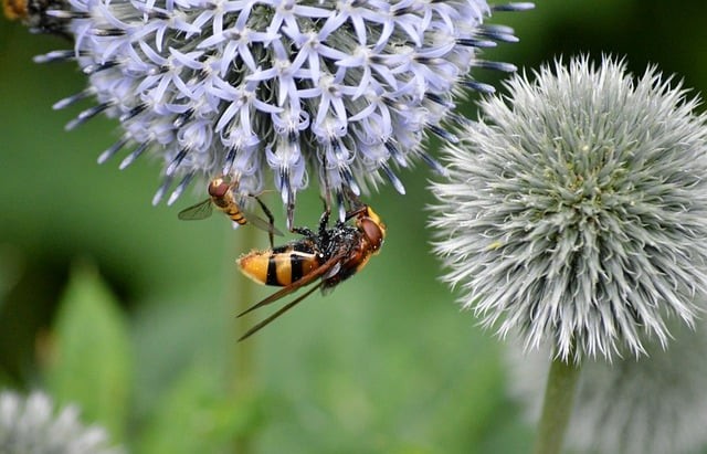 四川康复技术单招
