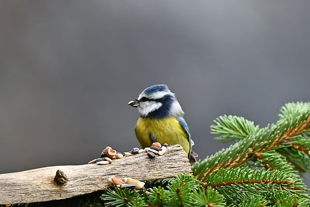 四川单招普高数学