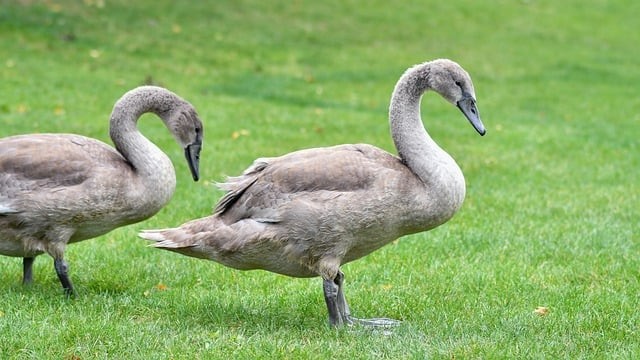 成都三才单招培训