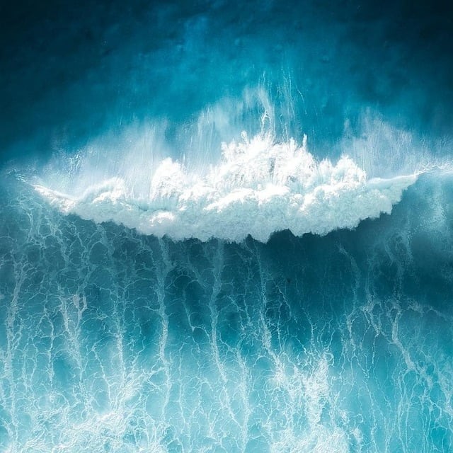 四川单招农业类，四川农业大学单招考试