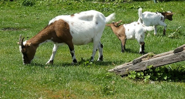 2025年成都单招咨询会机构