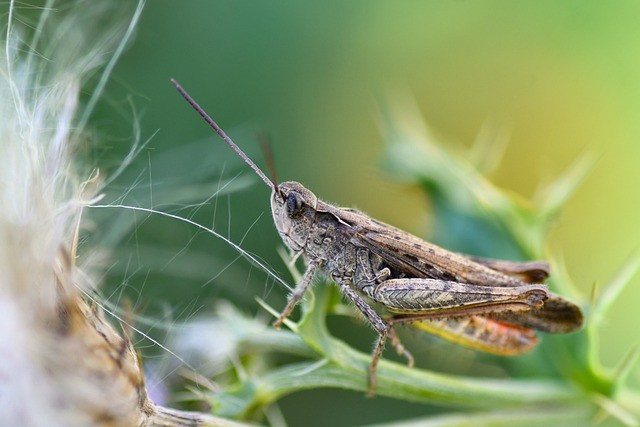 单招336分进成都纺织几率大吗 单招336分进成都纺织几率大吗