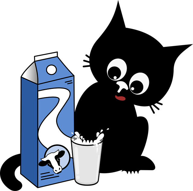 成都单招怎么参加