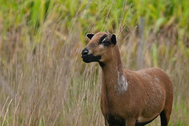 重庆工商学校计算机及应用专业怎么样?