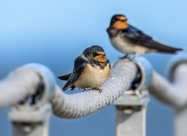 四川成都技校单招时间 四川成都技校单招时间