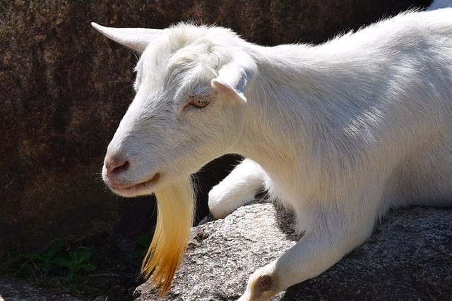 成都航空职业技术学院2025年单招情况