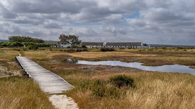 四川单招巡展新都