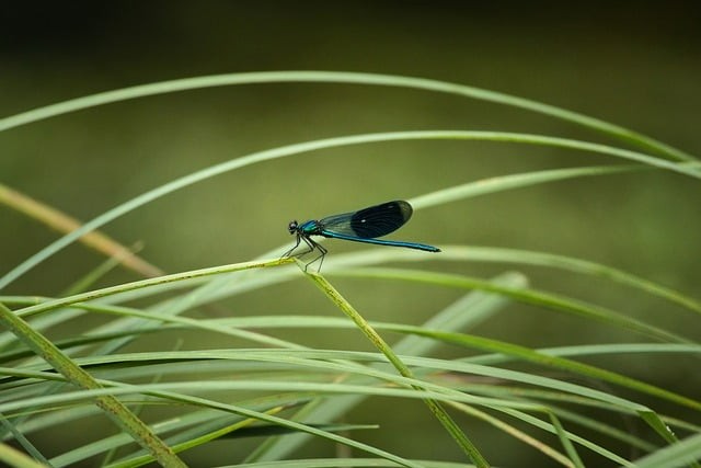 成都单招大专院校汇总
