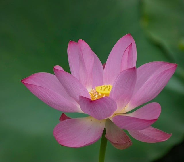 四川单招普高类真题