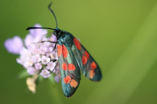 四川农科院单招