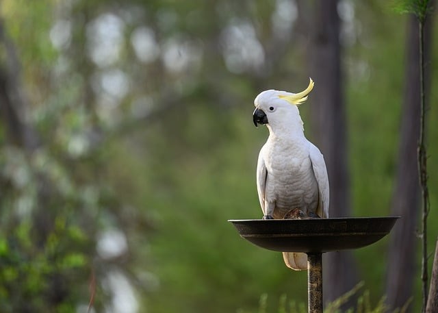 四川高职单招培训