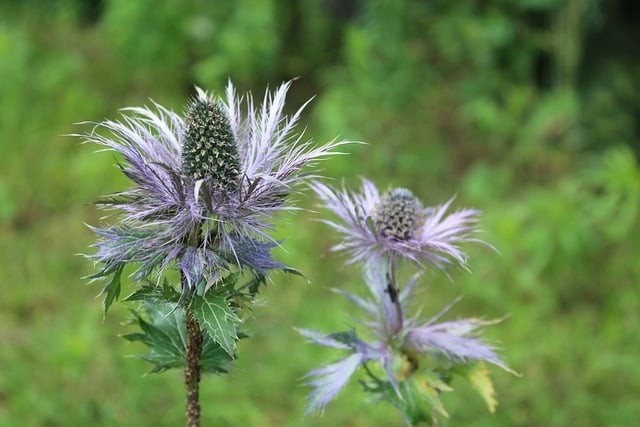 成都单招培训班学费，成都单招培训学校招生简章