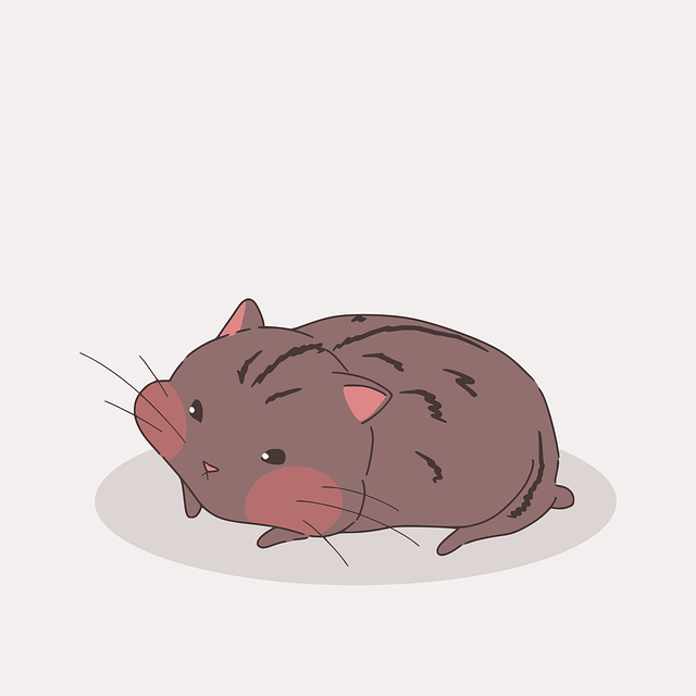 成都单招短期培训机构，成都单招培训机构