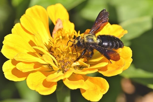 成都2025单招卷子