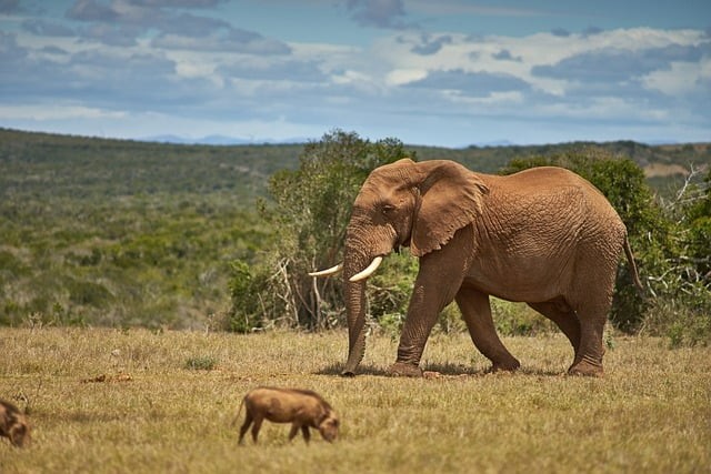 单招群四川，四川单招机构