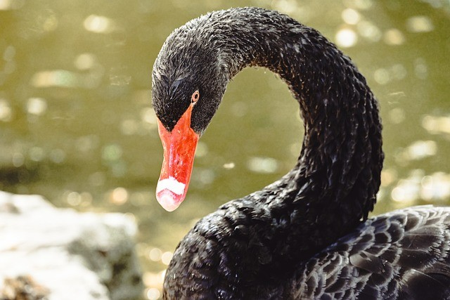 单招四川题目，四川单招题型卷子及答案