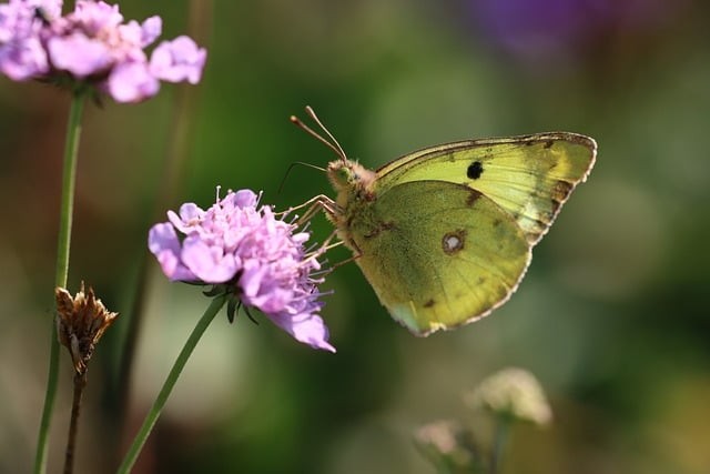 四川单招职高题