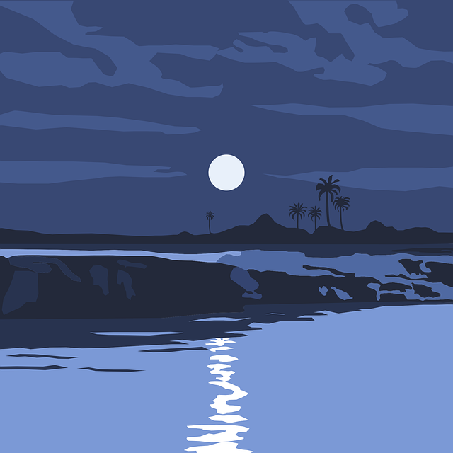 四川成都郫都单招