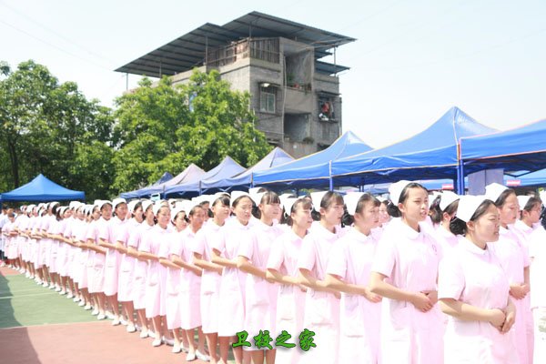 学校双选会