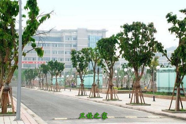 校园风景