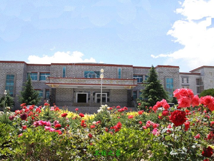 西藏藏医学院一景