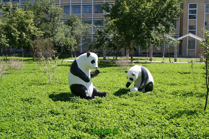 新疆医科大学校园环境