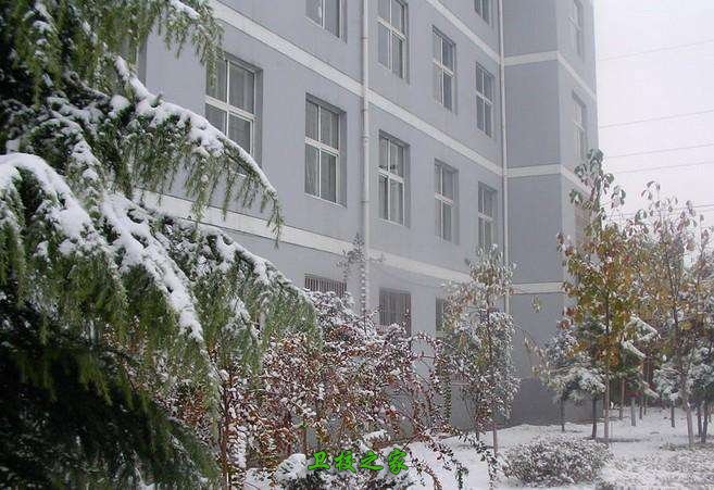 雪景