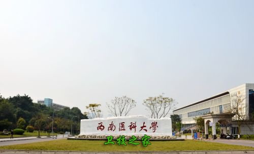 西南医科大学