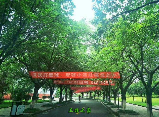 四川交通职业技术学院2019年招生简章