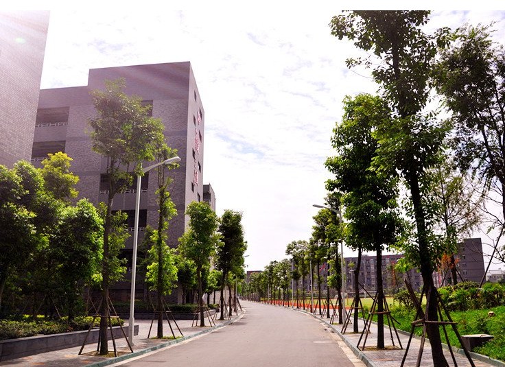 成都石室天府中学2021招生简章