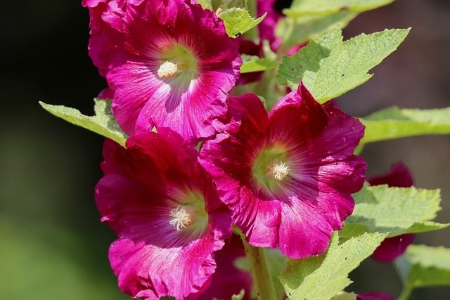 四川信息职业技术学院2026年春季招生简章